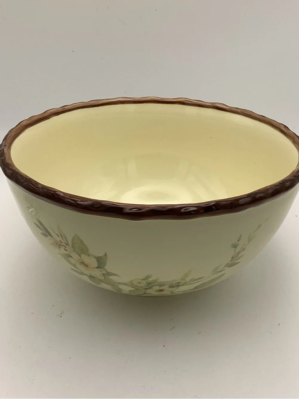 Cream Stoneware Bowl with Brown Twig Rim and Bird Floral Accents